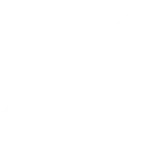 shotgun
